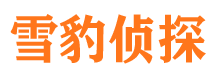 自贡外遇调查取证